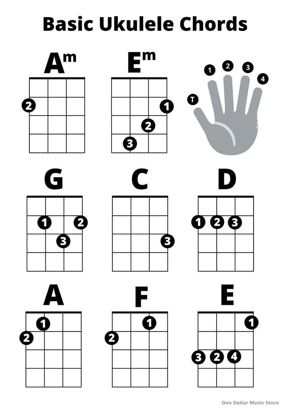 Learn Ukulele in Minutes: Easy Chords & Large Print Guide