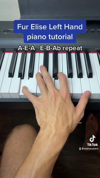 Learn Fur Elise in Minutes — Easy Left Hand Piano!