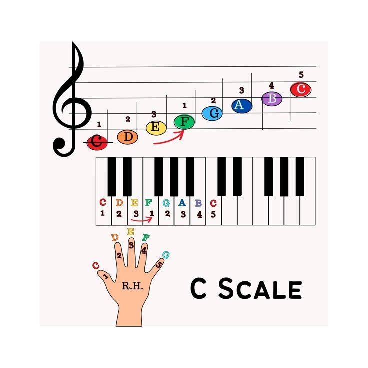 Unlock Piano Lessons for Beginners