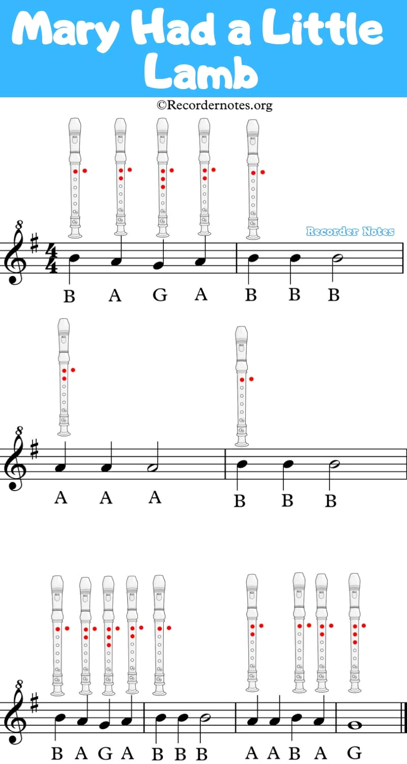 Learn to Play a Cute Lamb Song on the Recorder