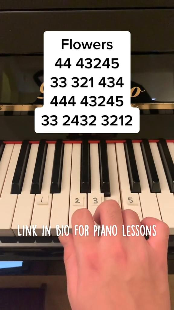 Miley’s Secret Garden of Dreams