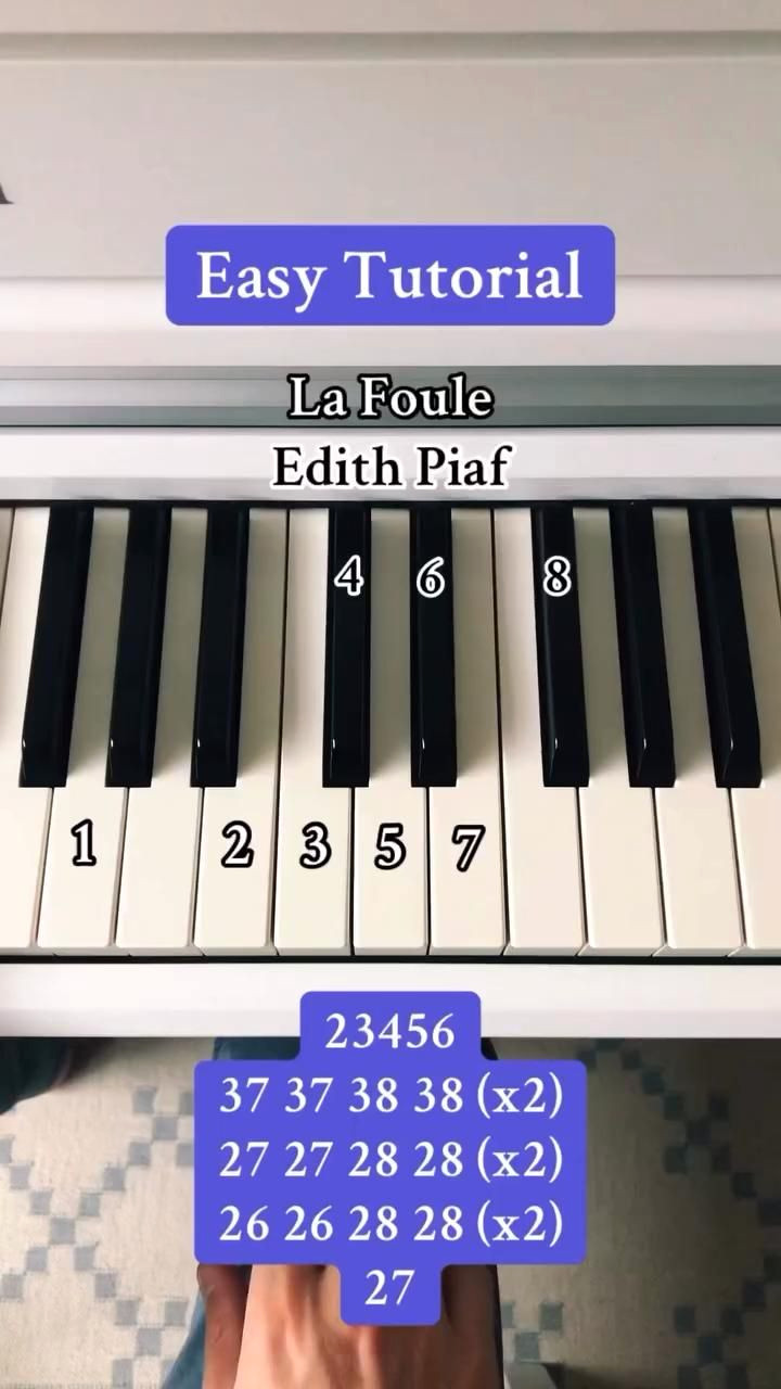 Learn Piano in 6 Easy Steps: A Beginner’s Essential Guide