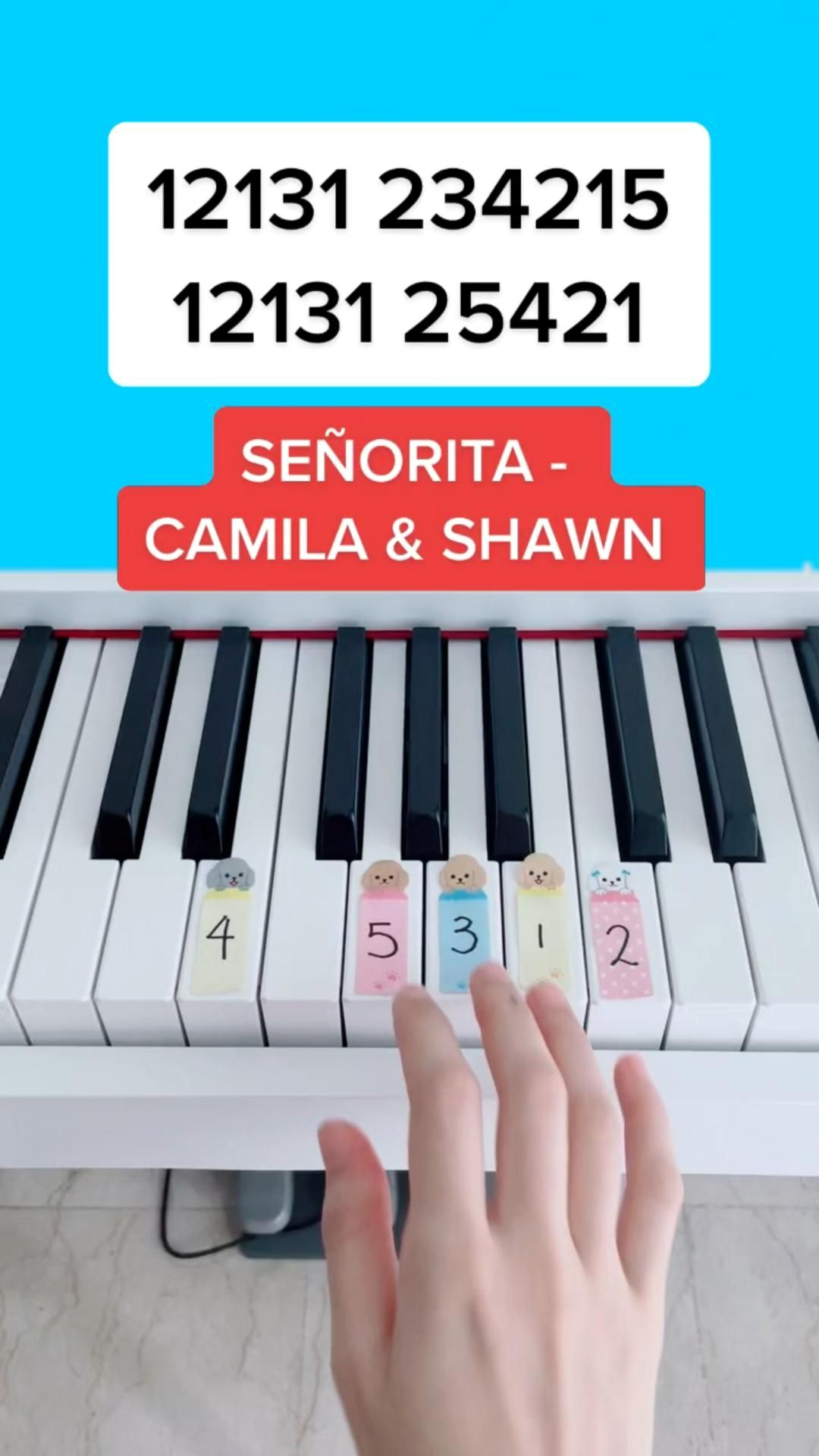 Master Piano Cover: Camila Cabello & Shawn Mendes — Señorita