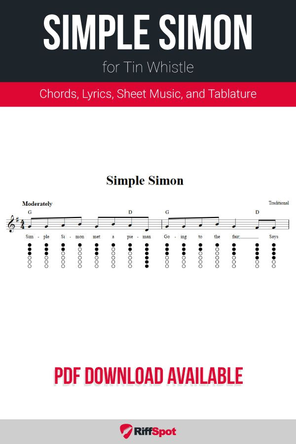 Learn to Play the Tin Whistle in Minutes with Simple Tips