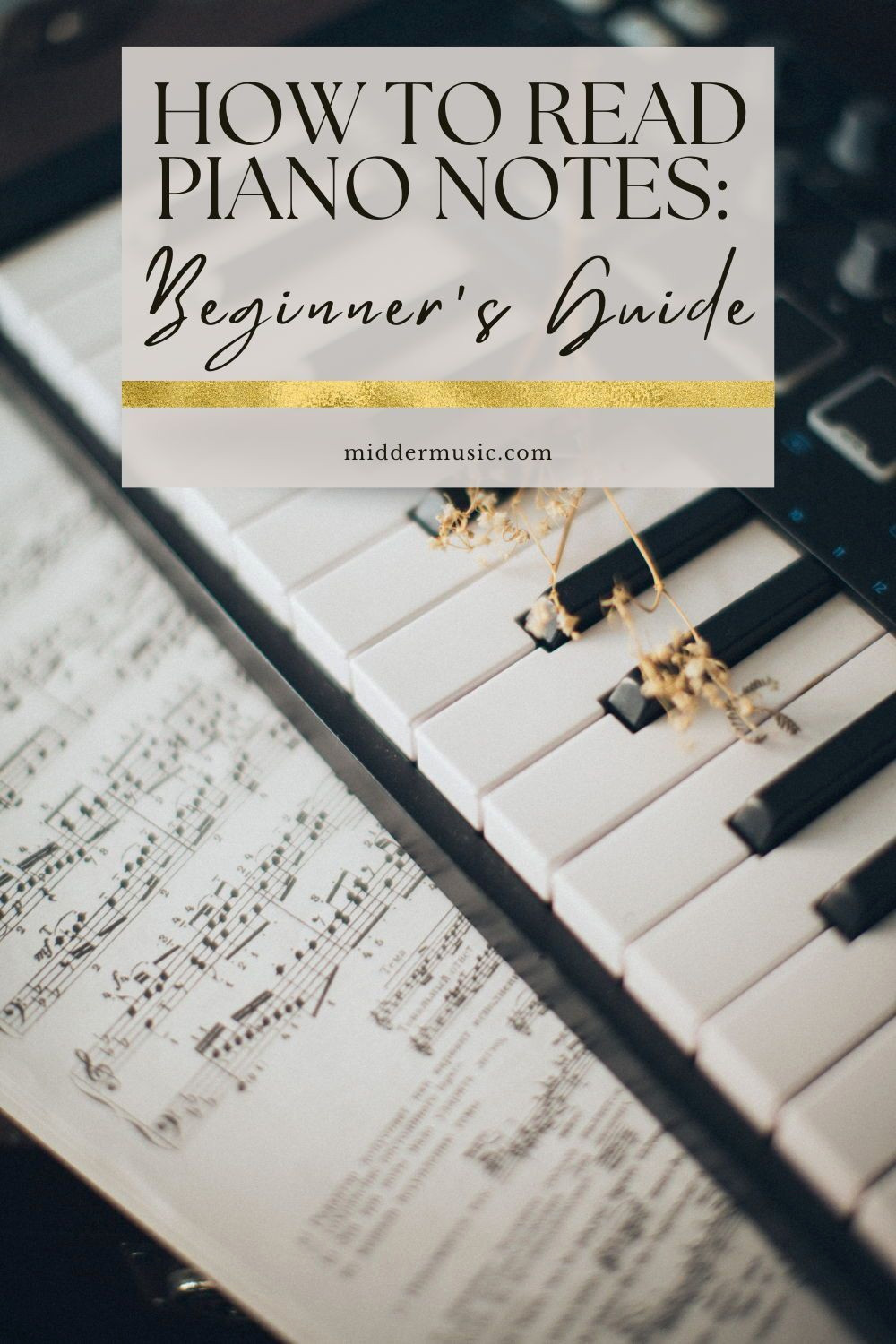 Unlock Music: Beginner’s Guide to Reading Piano Notes Like a Pro