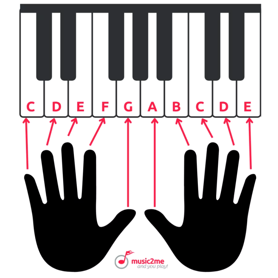 Learn Piano in 13 Easy Steps for Beginners