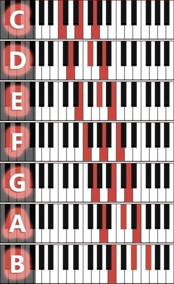 Master 50+ Piano Chords in One Visual Guide