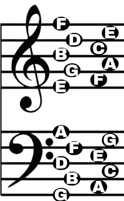 Learn to Read Sheet Music in Minutes